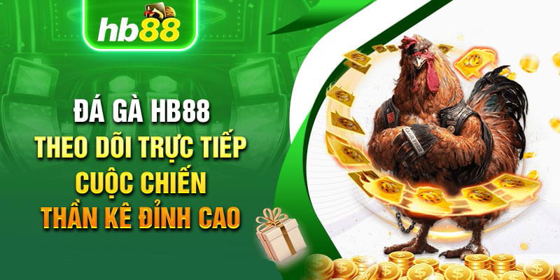 Những loại hình phổ biến được yêu thích tại đá gà Hb88